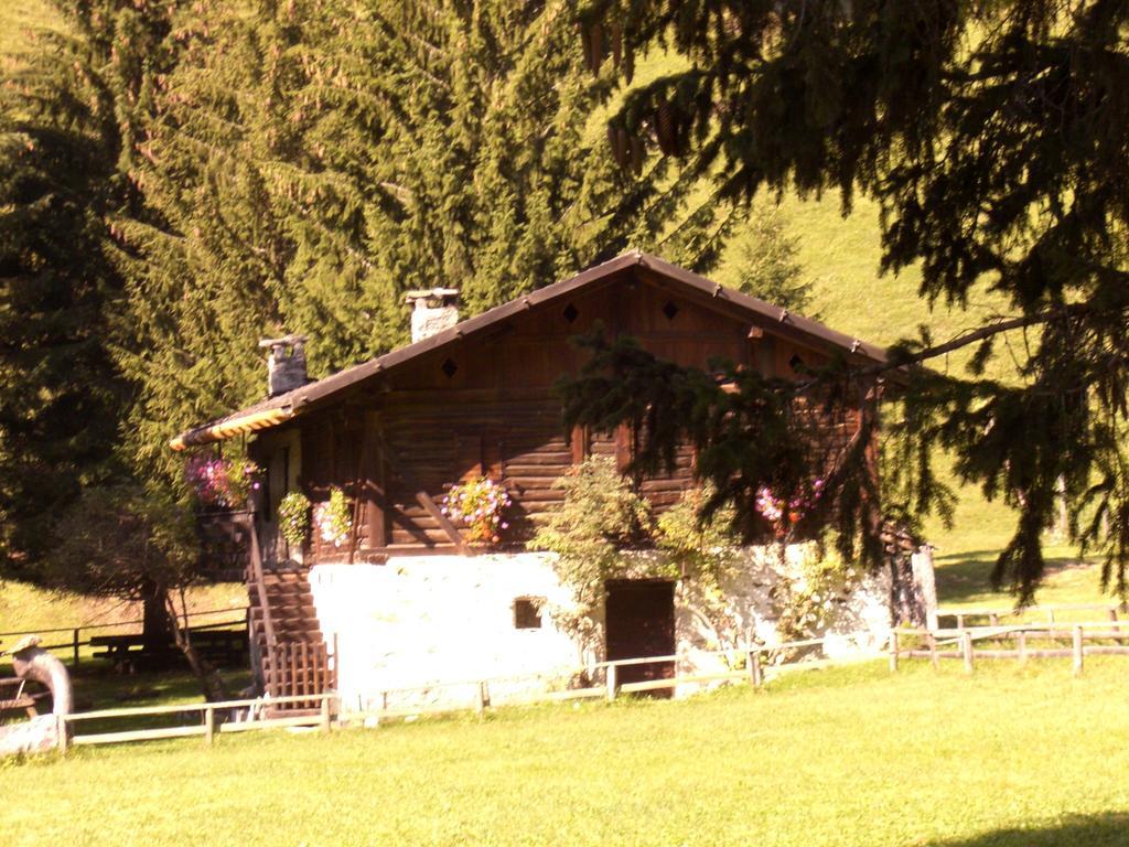 Alpino 3*